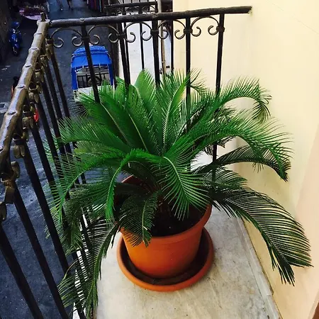 La Casa Sul Mercato Antico Apartment Palermo